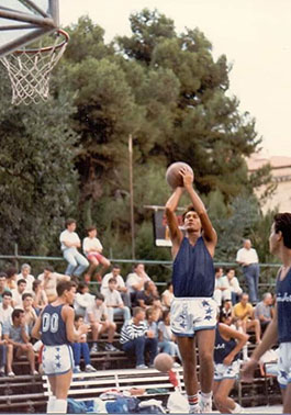 Il basket